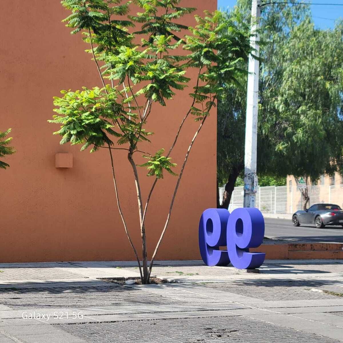 2 de 22