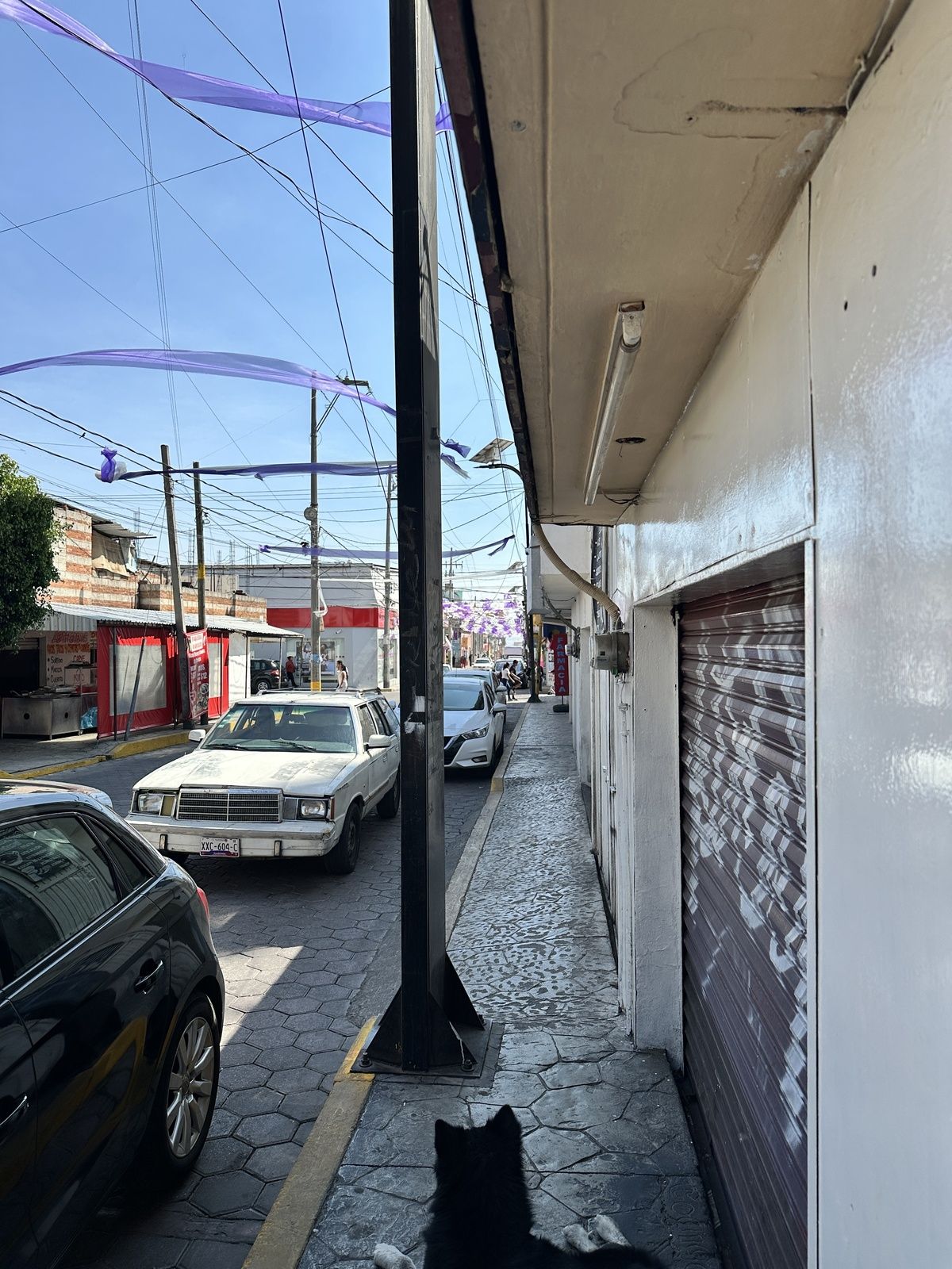 4 de 8
