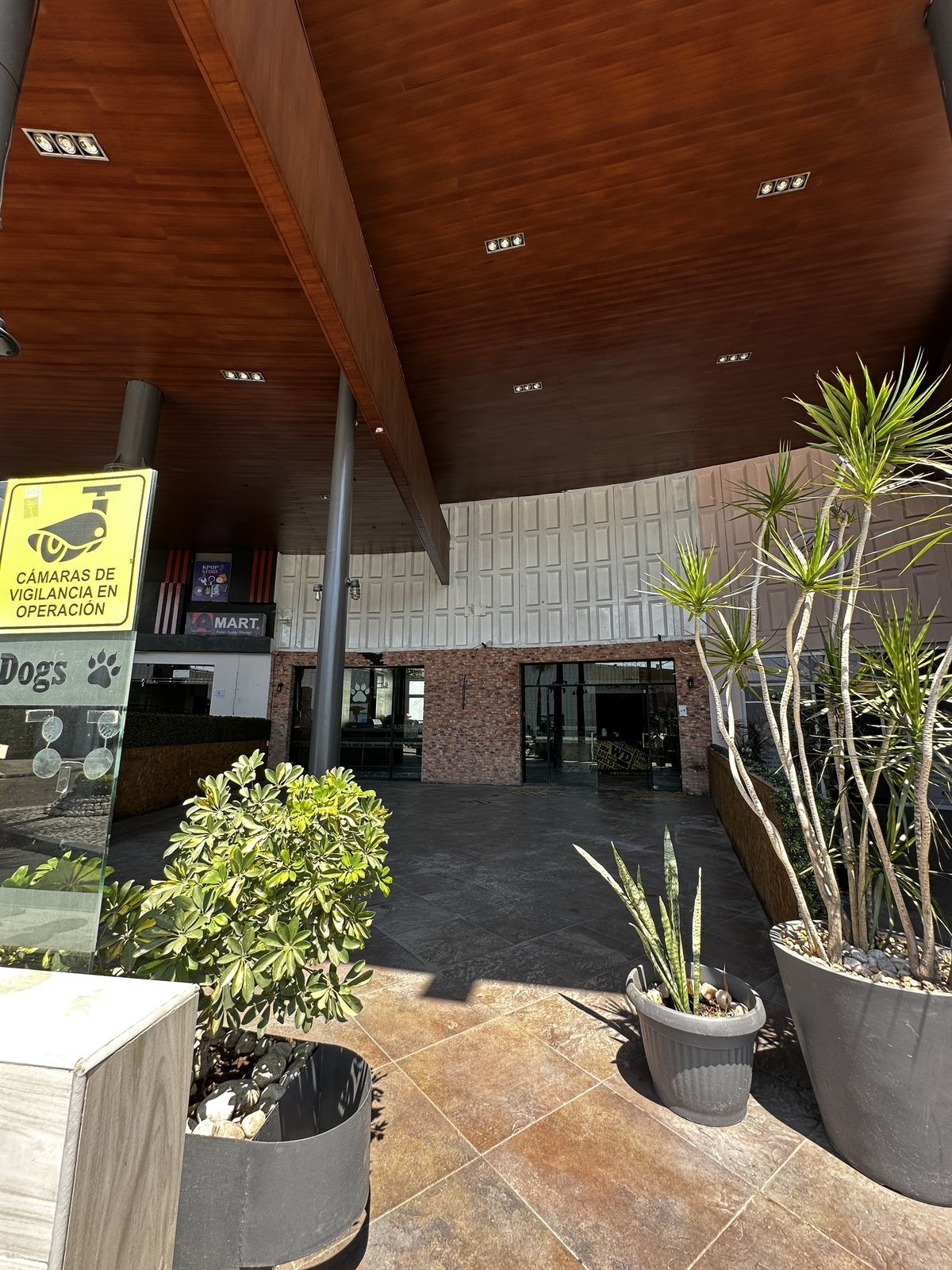 4 de 32: Terraza del local