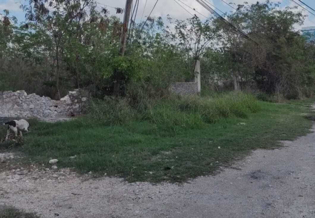 2 de 3