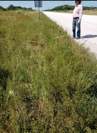 5 de 7: FÁCIL ACCESO