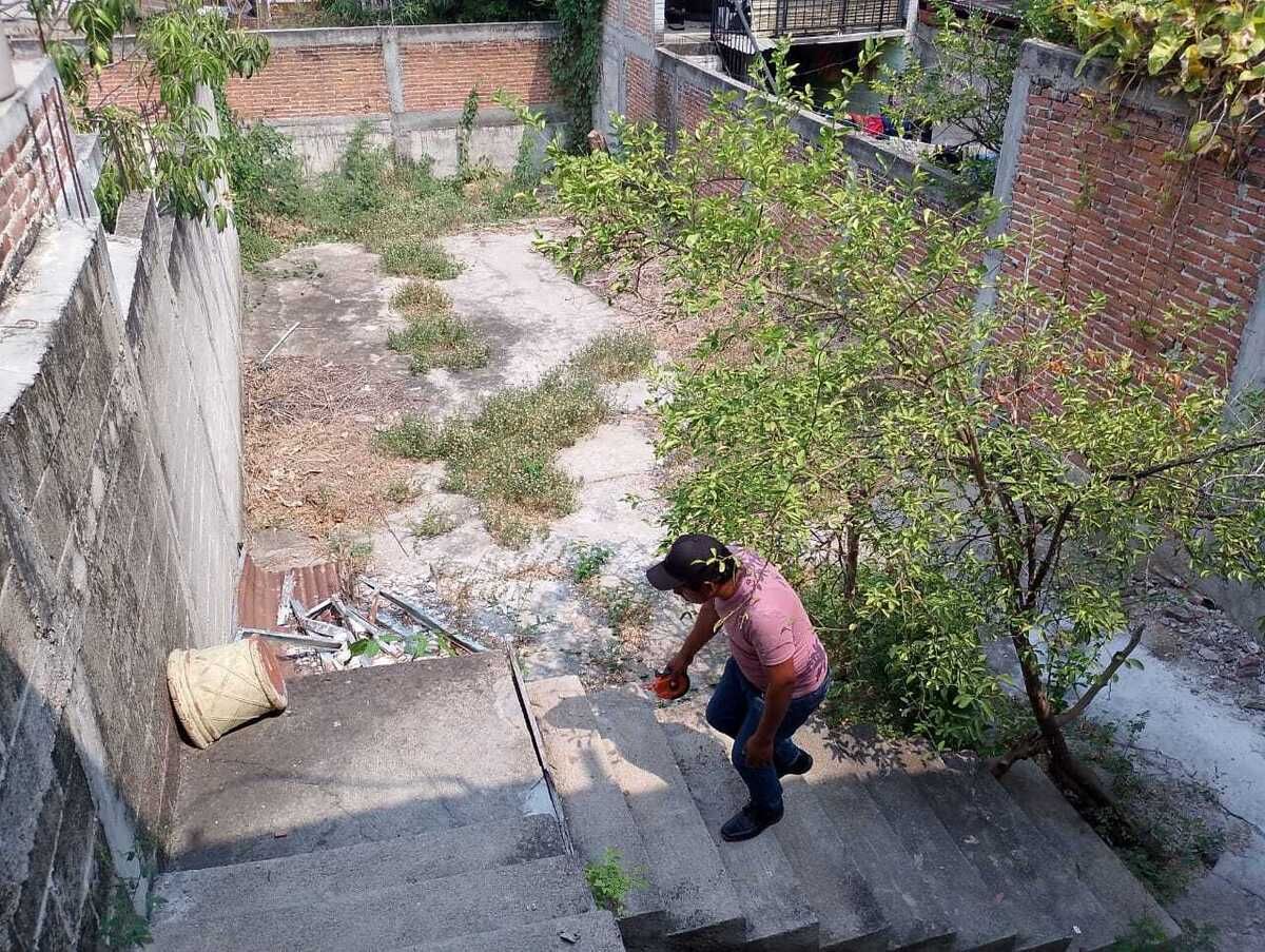 3 de 17