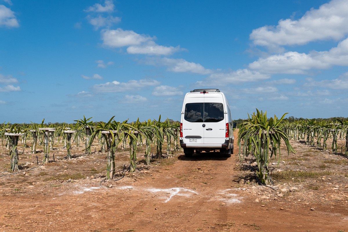 5 de 19: Terreno en Venta Merida