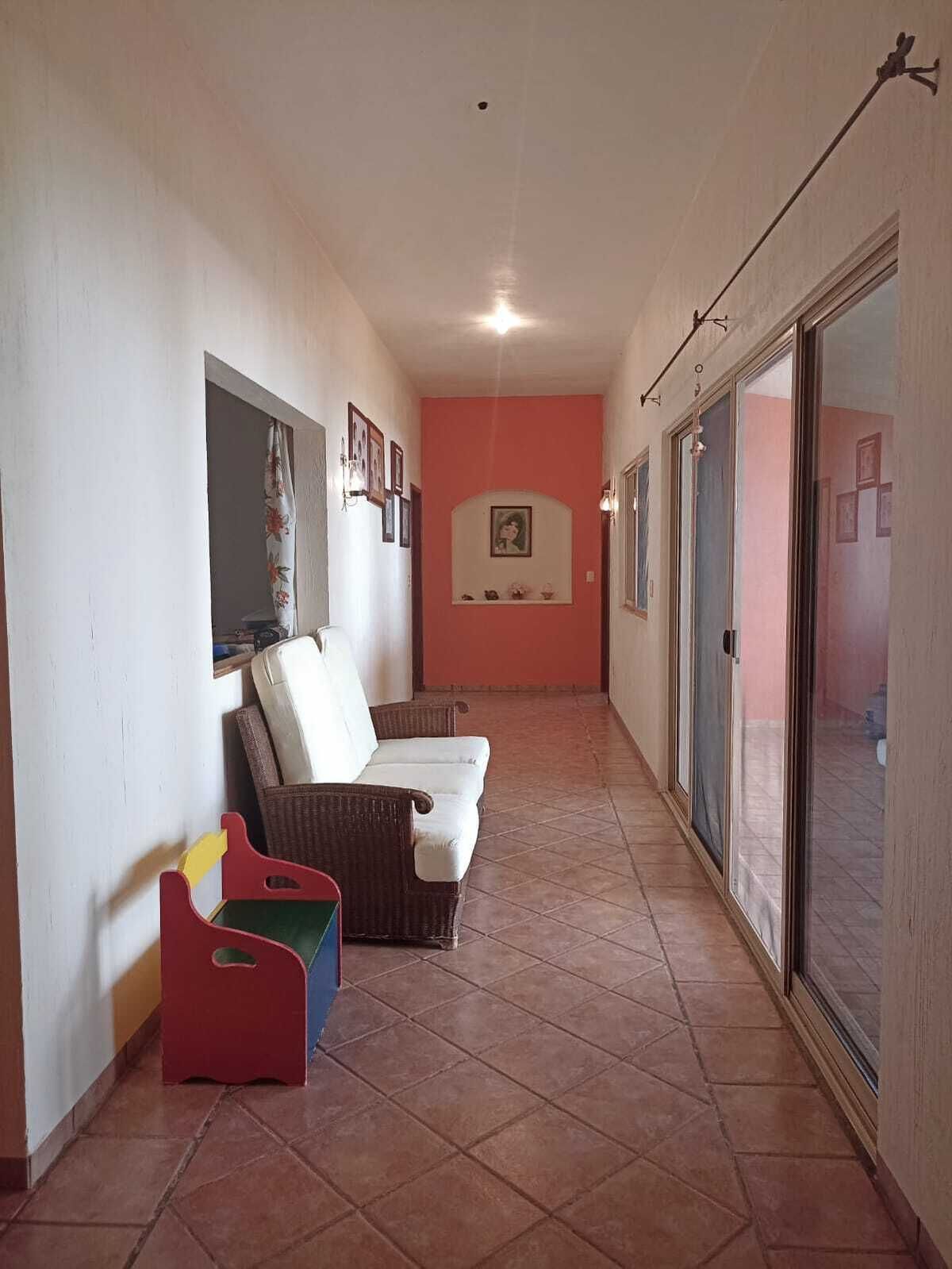 33 de 33
