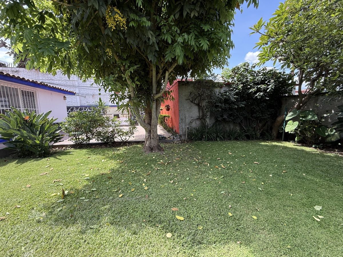 17 de 25