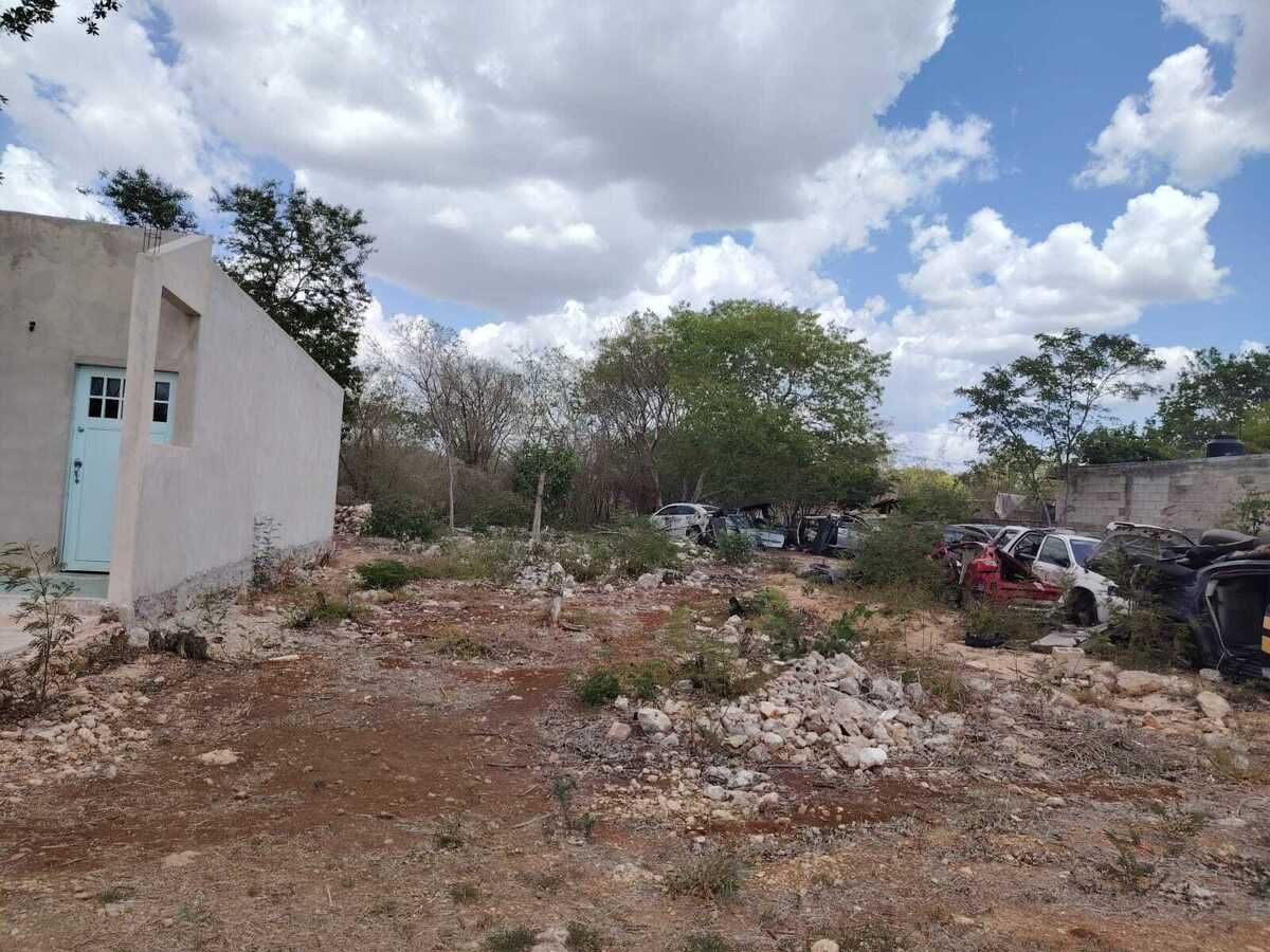 2 de 7