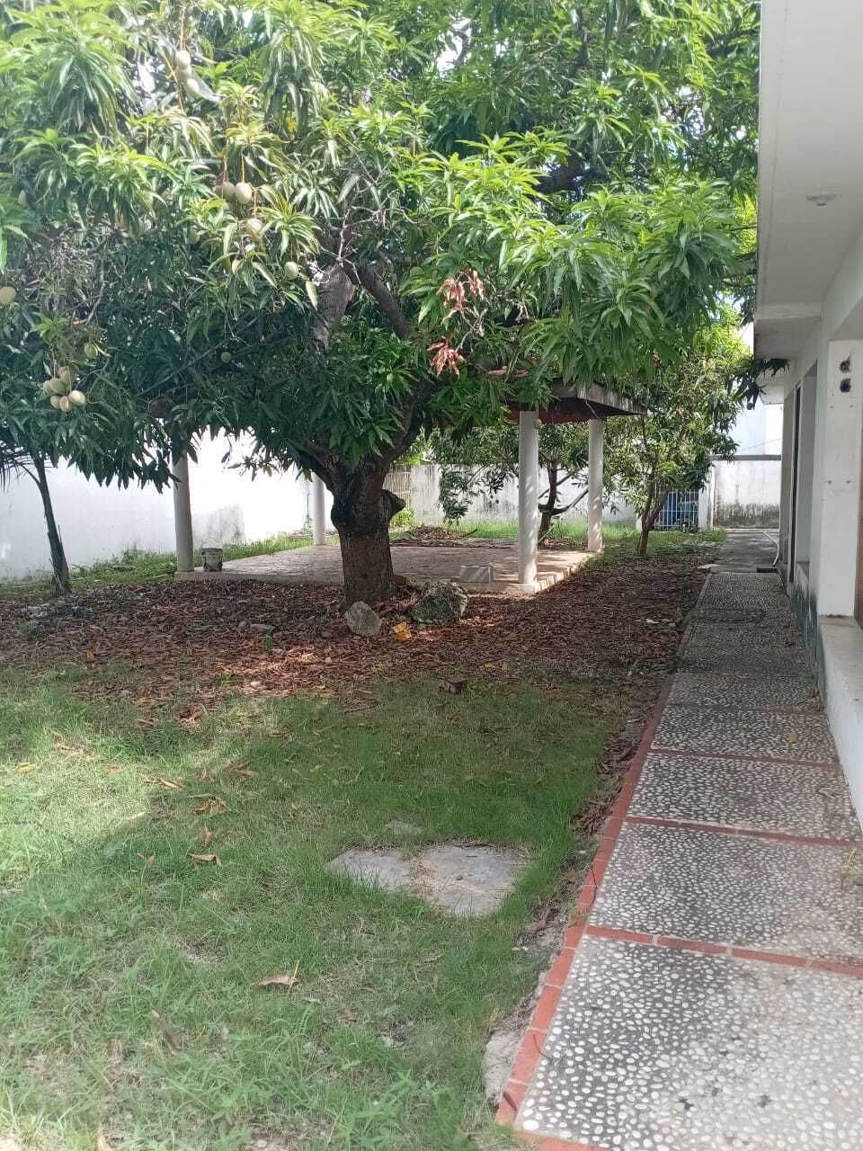 4 de 4
