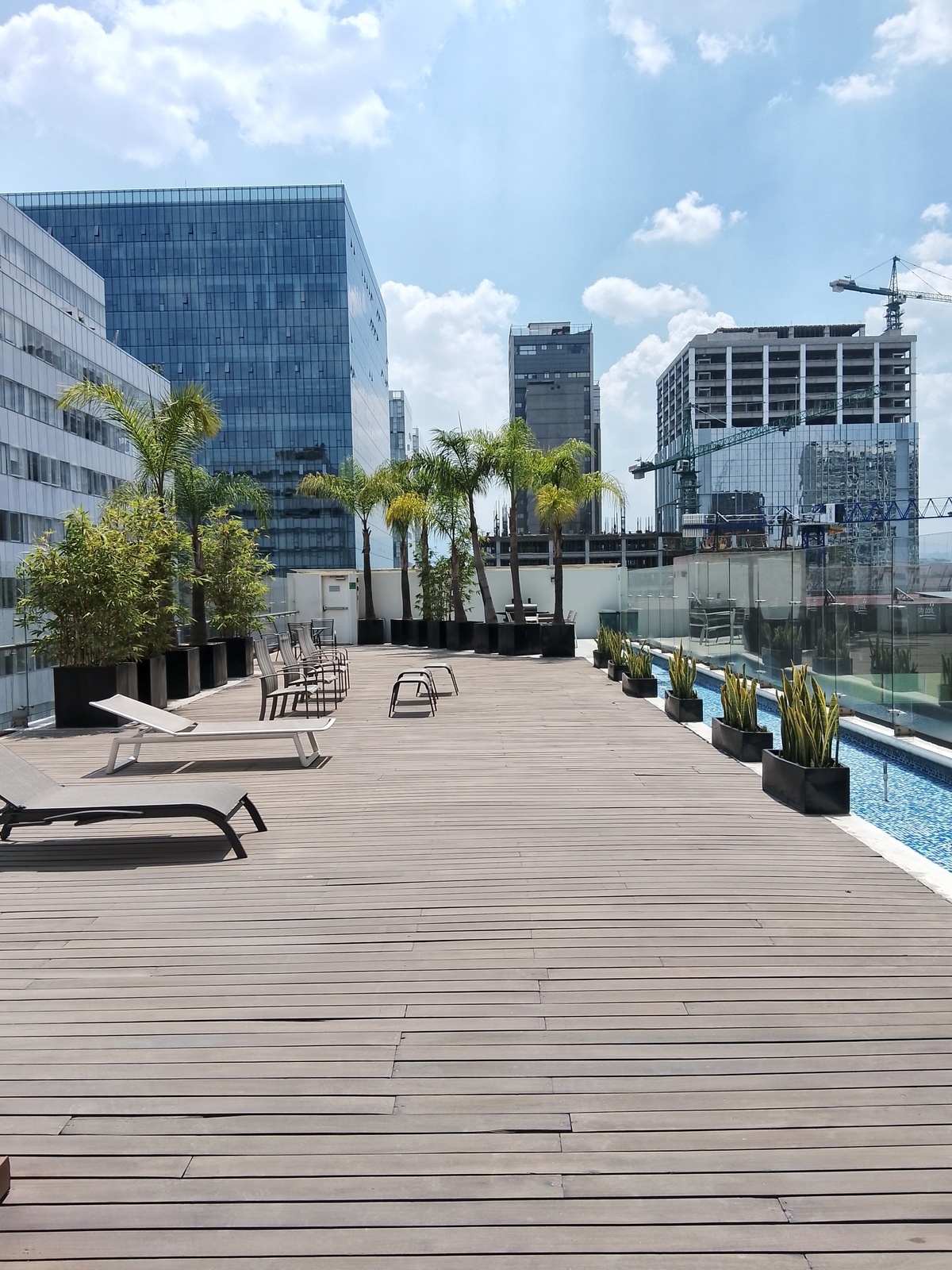 12 de 25: TERRAZA