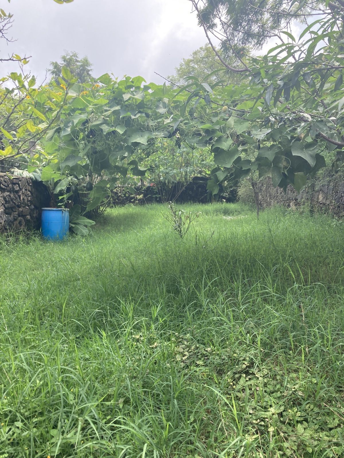 1 de 11