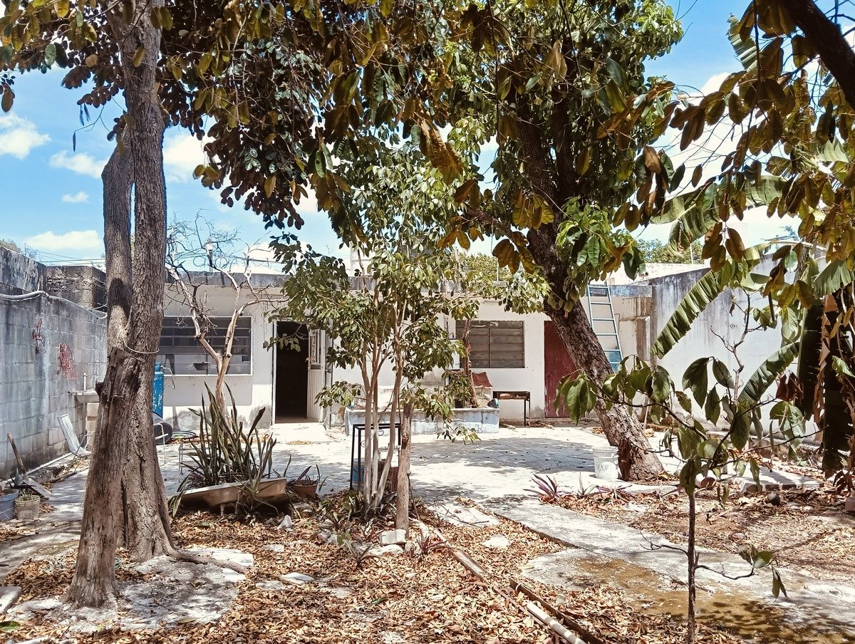 3 de 16