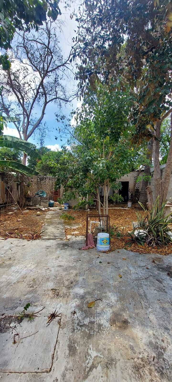 11 de 16