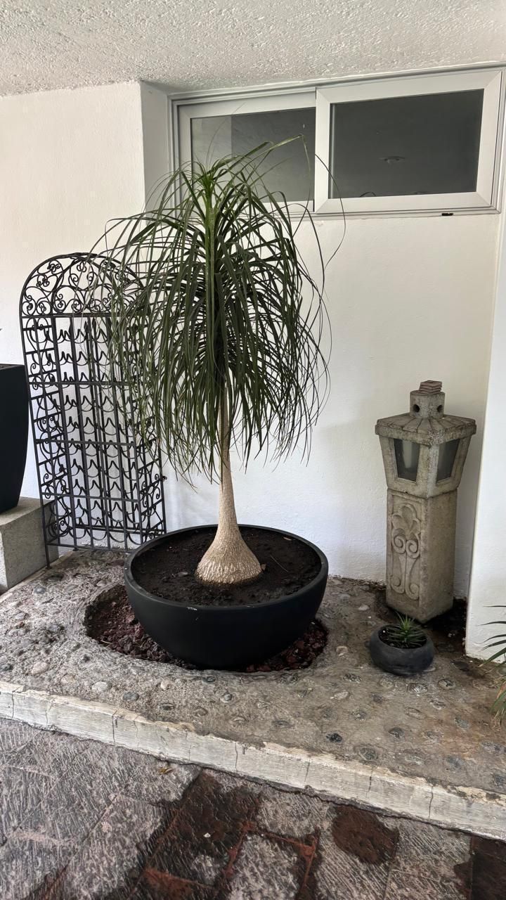 1 de 6: https://assets.easybroker.com/property_images/5302945/914429