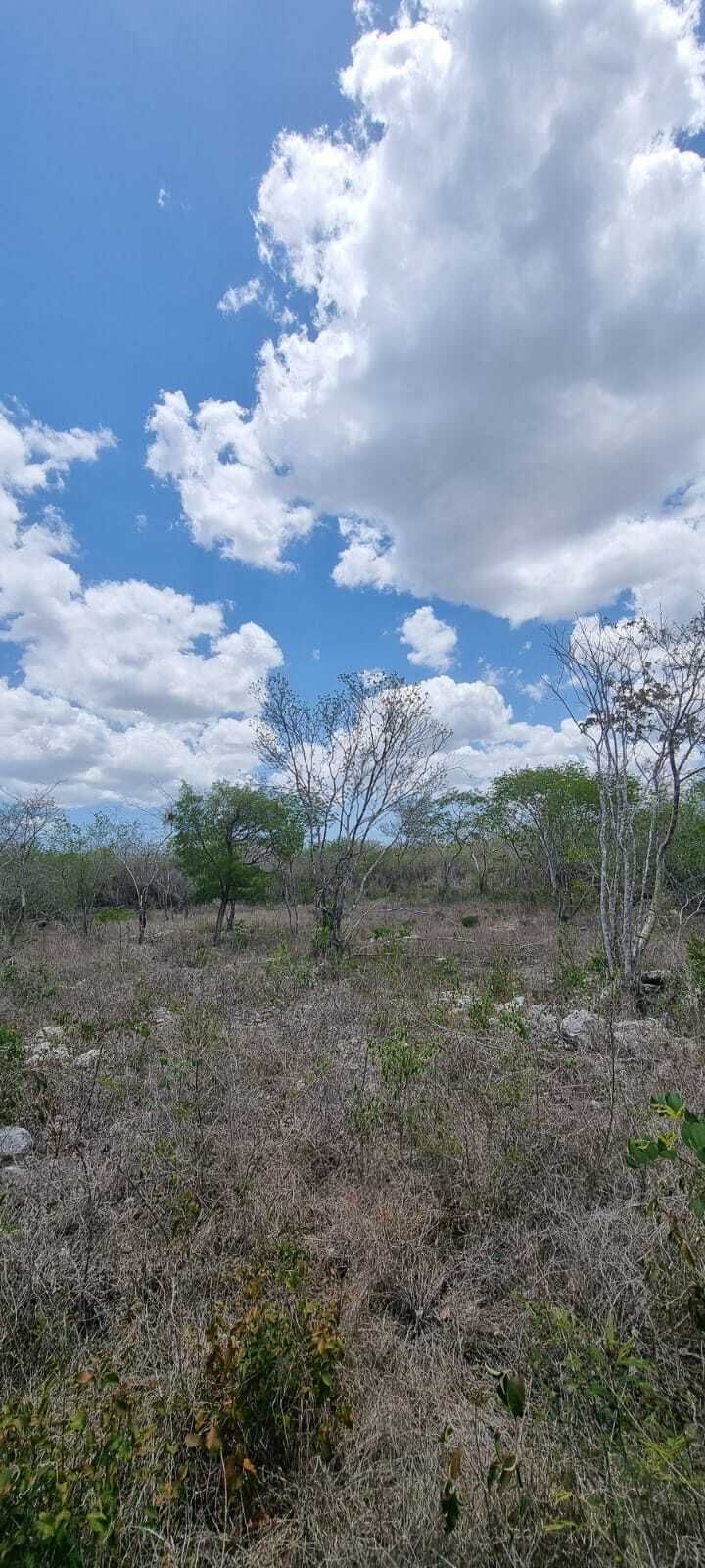 4 de 7