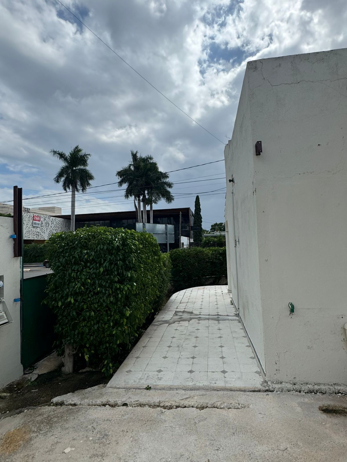 3 de 12