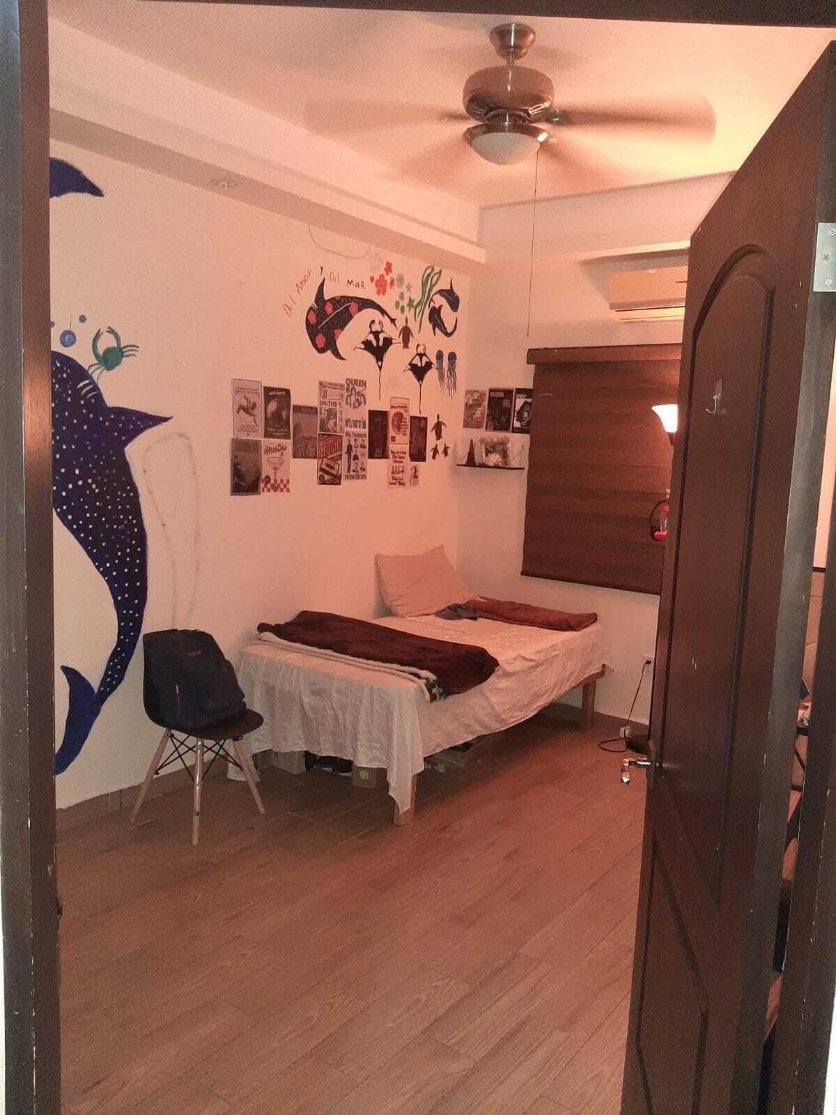 24 de 31