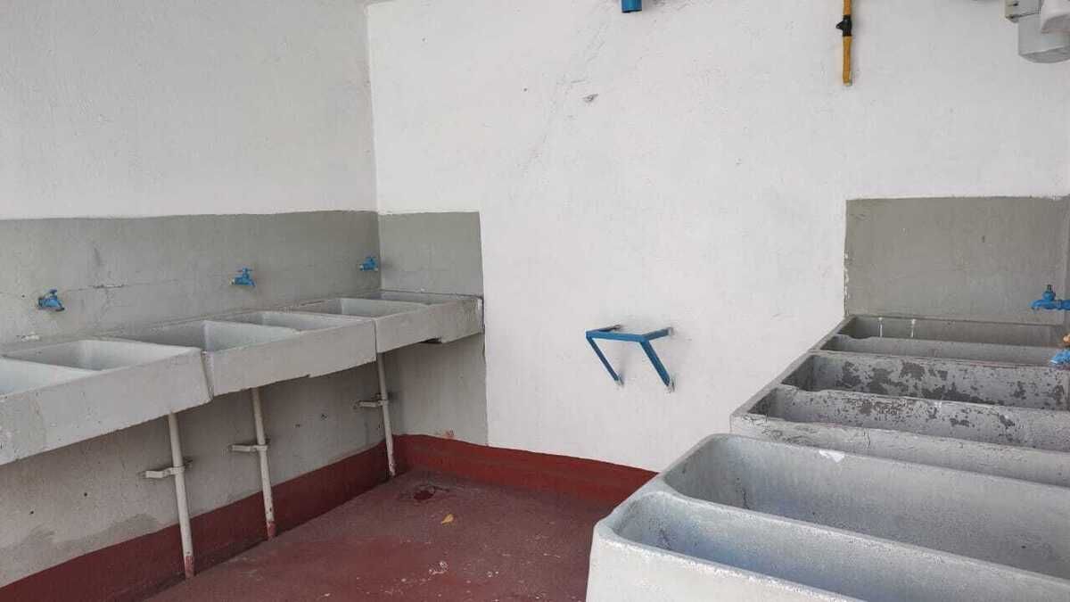6 de 14