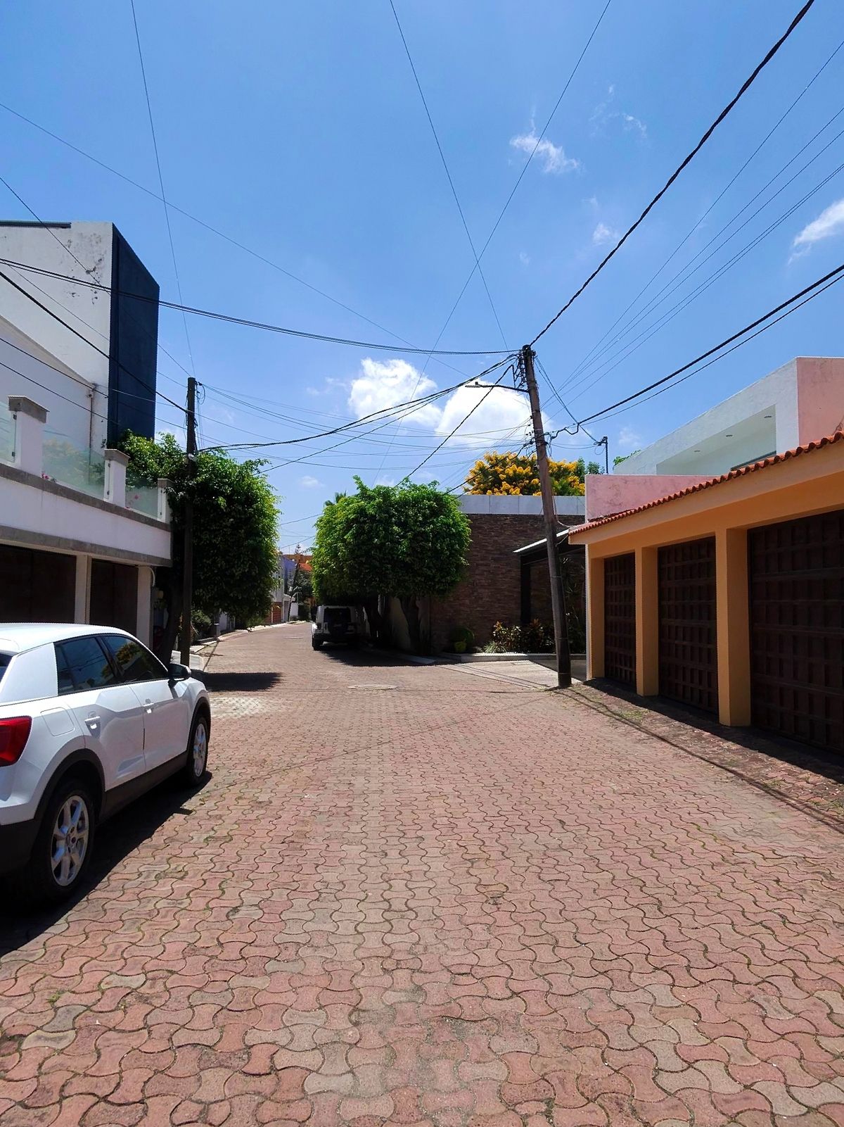 Imagen 8 de 8