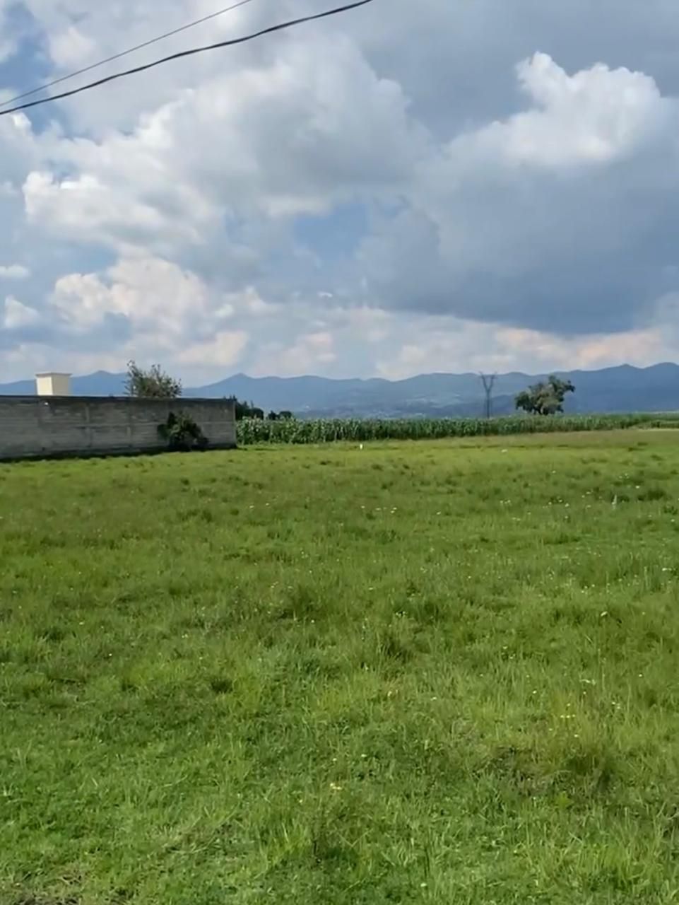 2 de 11