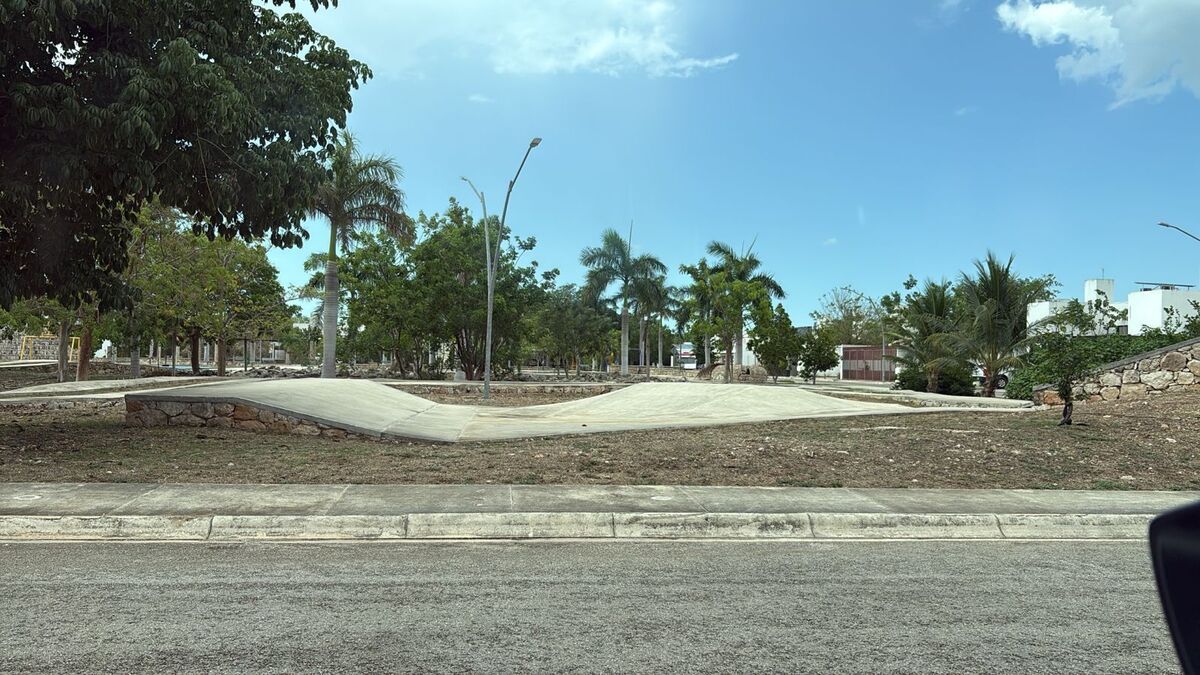 6 de 12