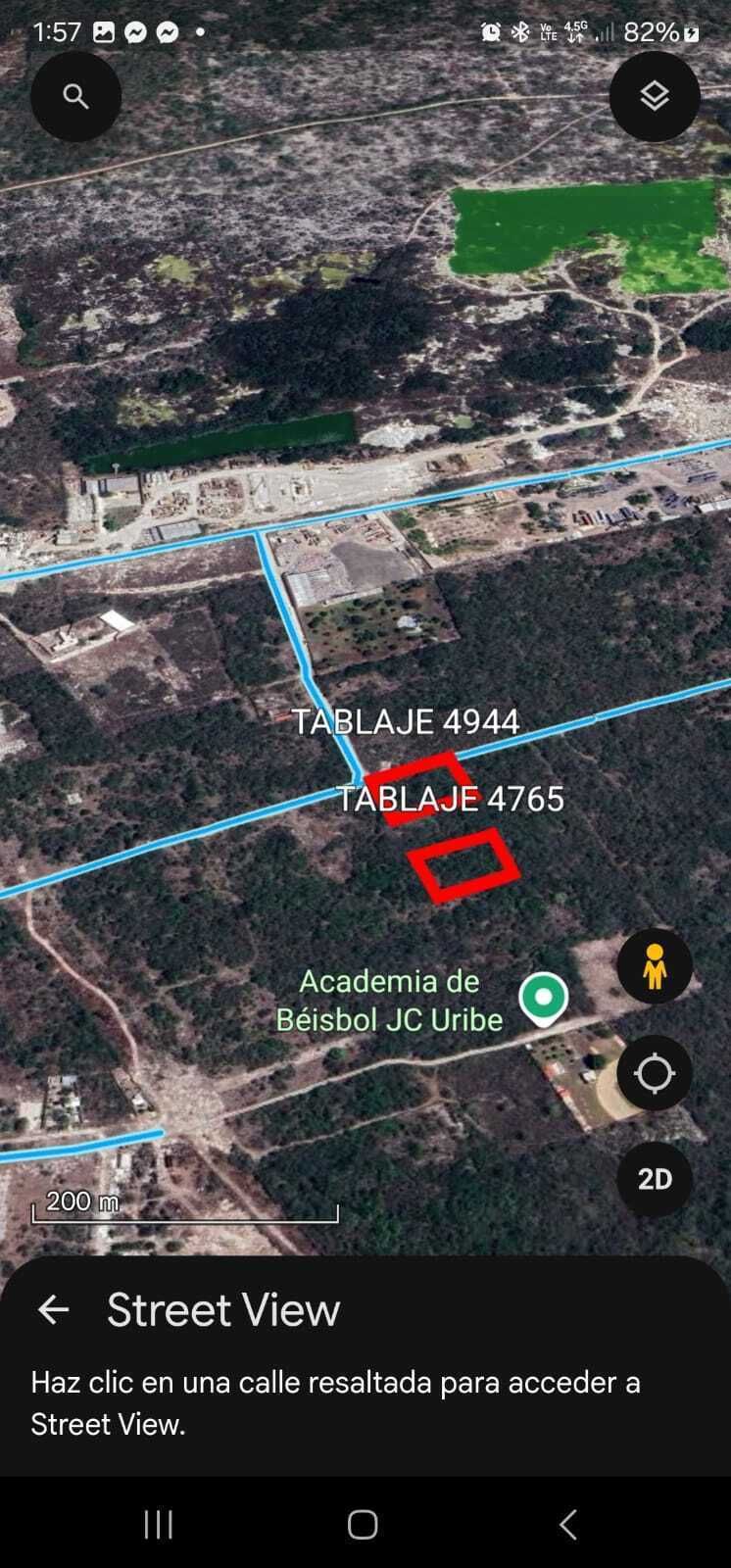 11 de 14