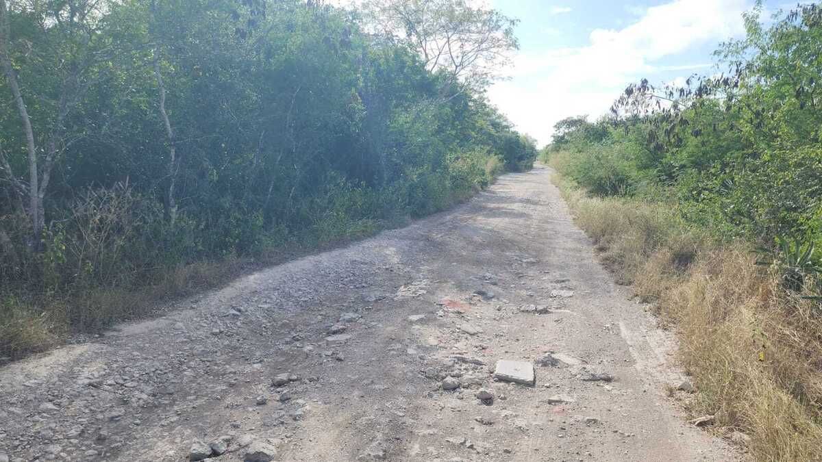 13 de 14