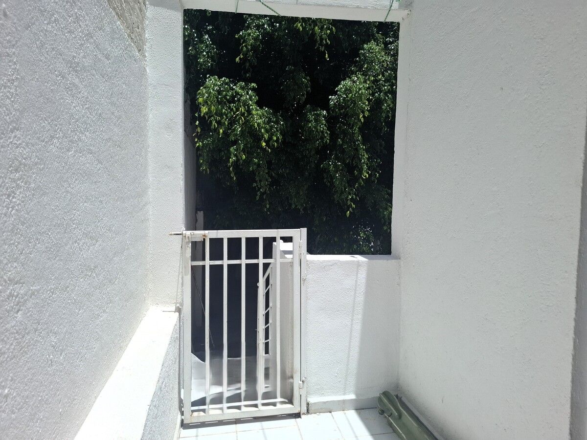 24 de 29: PASO A JARDIN