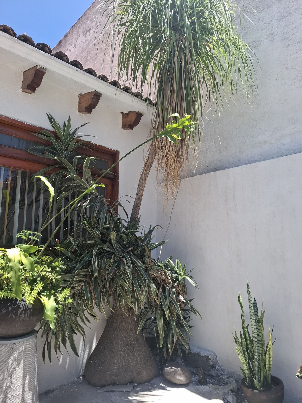 5 de 29
