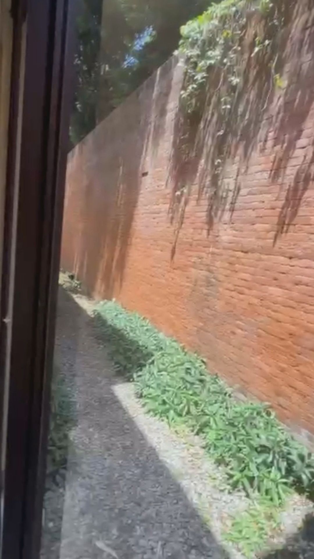 4 de 19