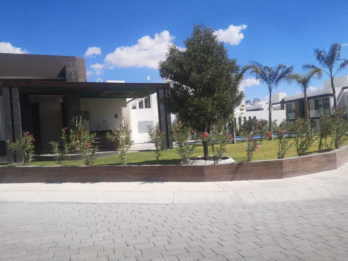 15 de 15