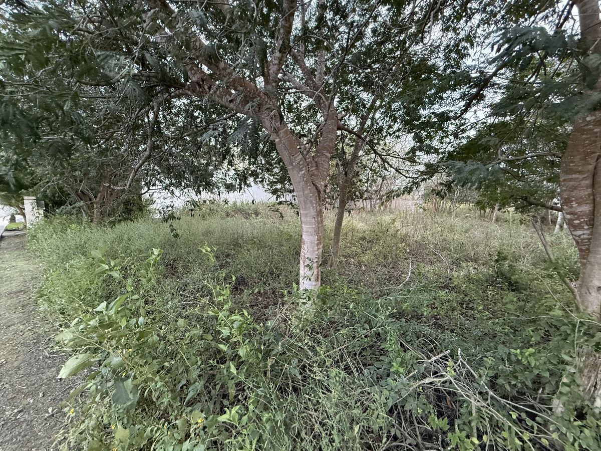 6 de 8
