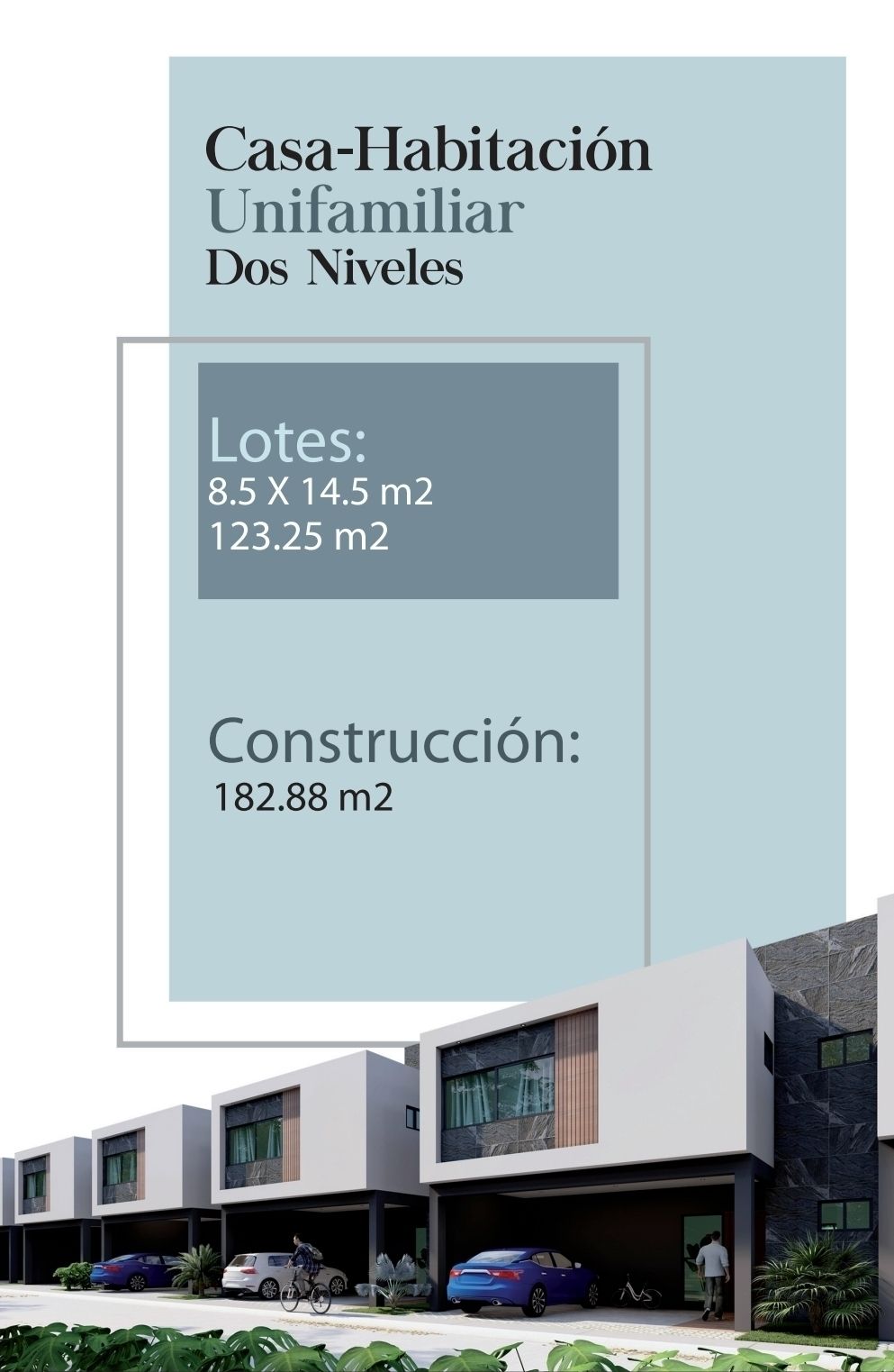 2 de 6