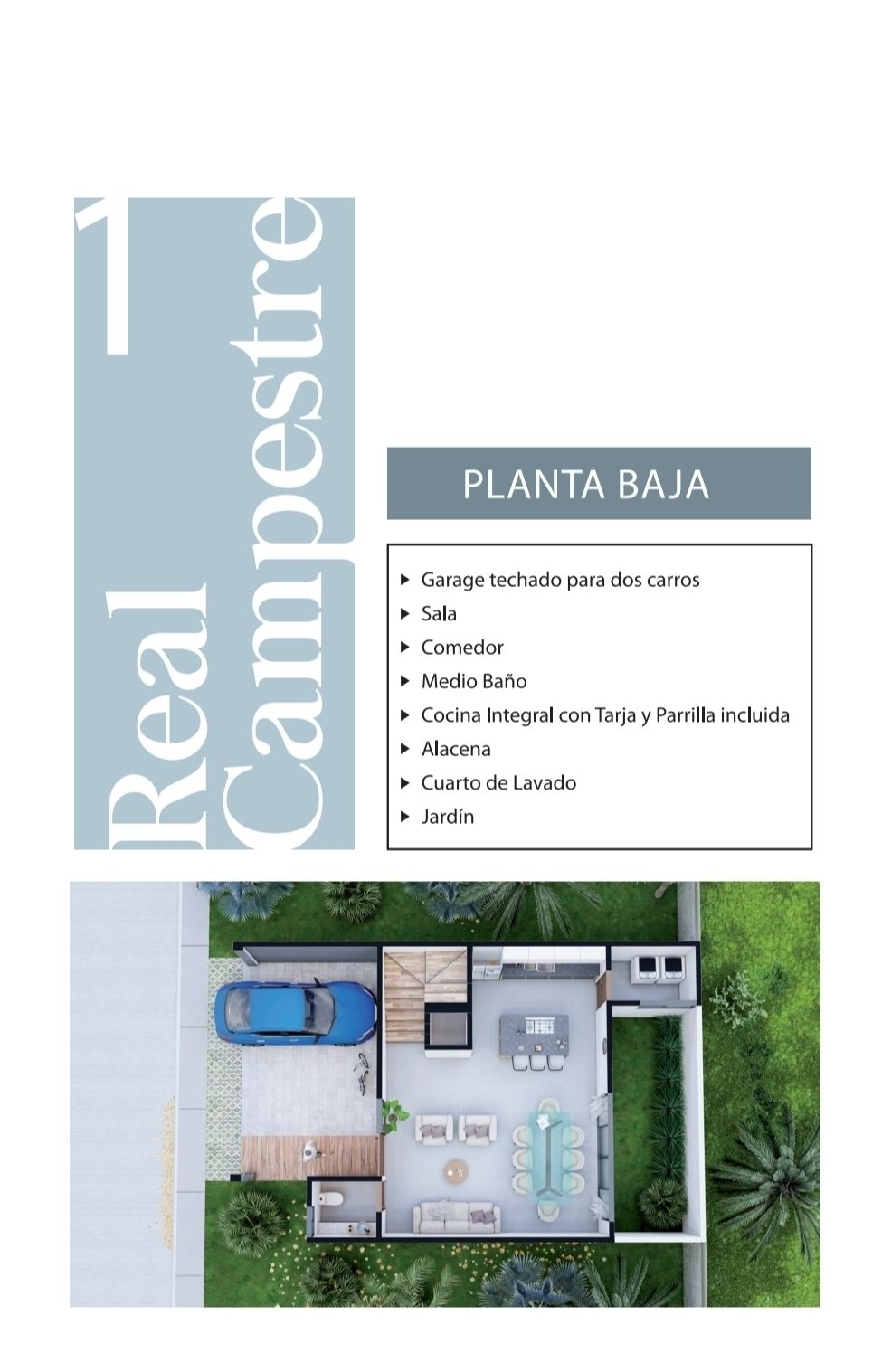 3 de 6