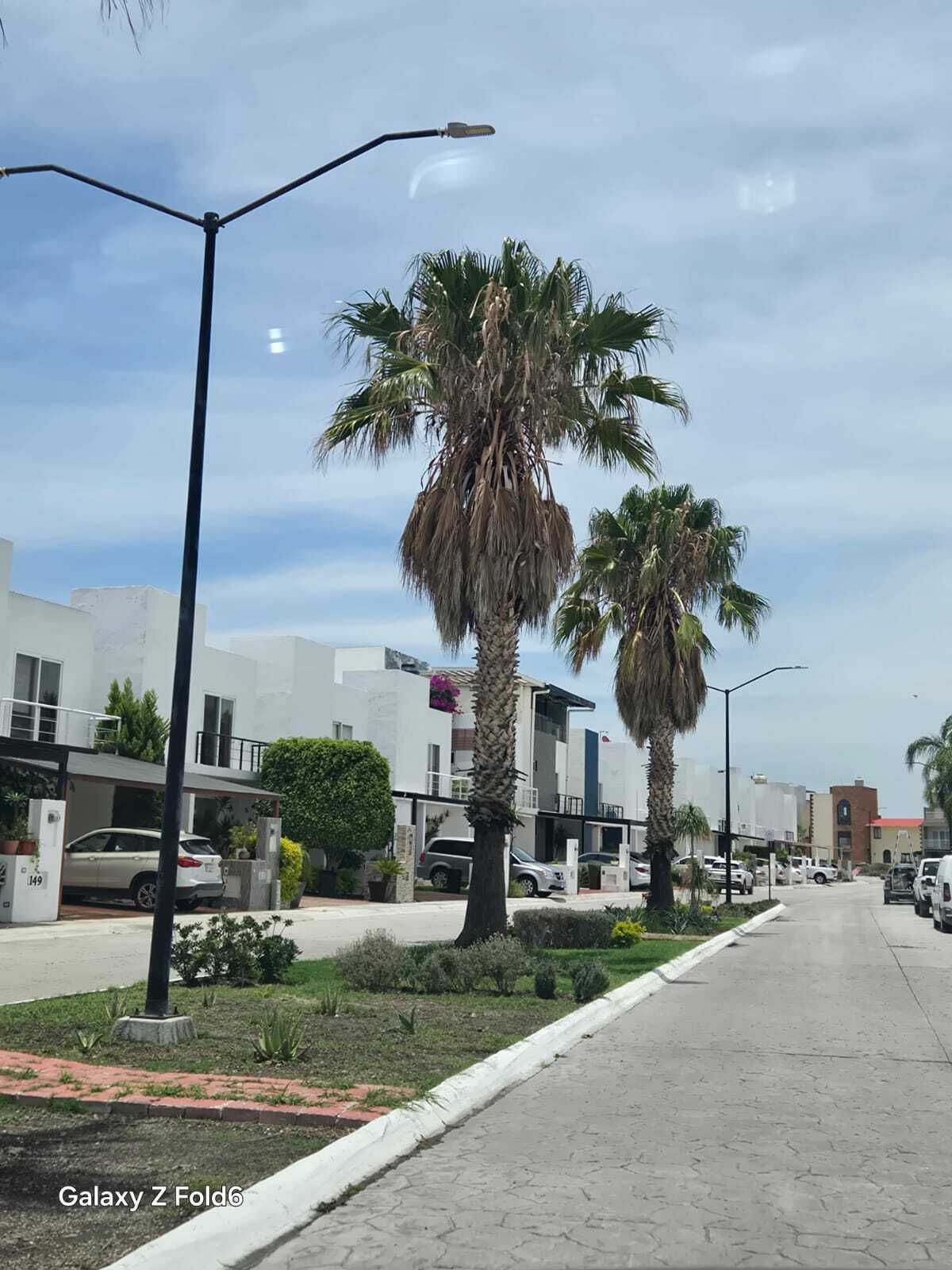 9 de 18