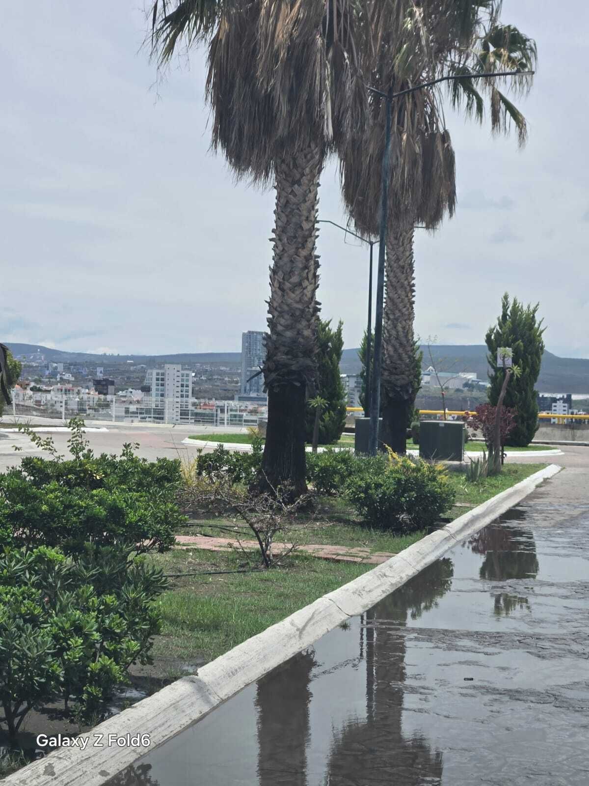 10 de 18
