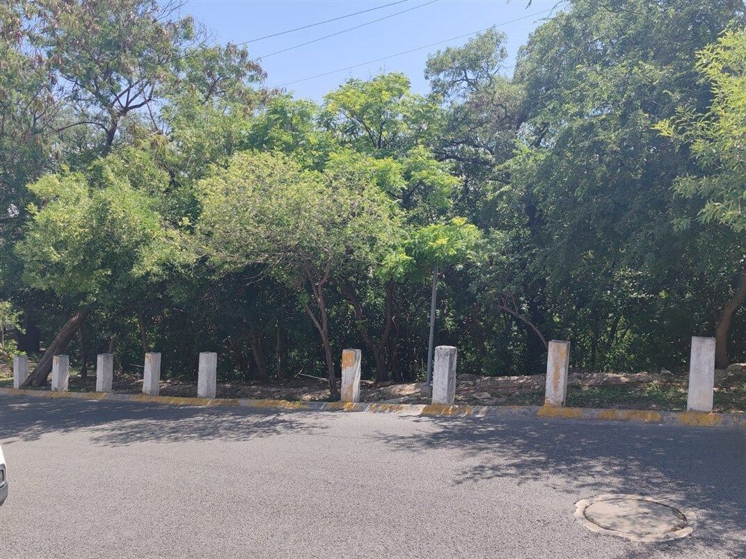 3 de 4