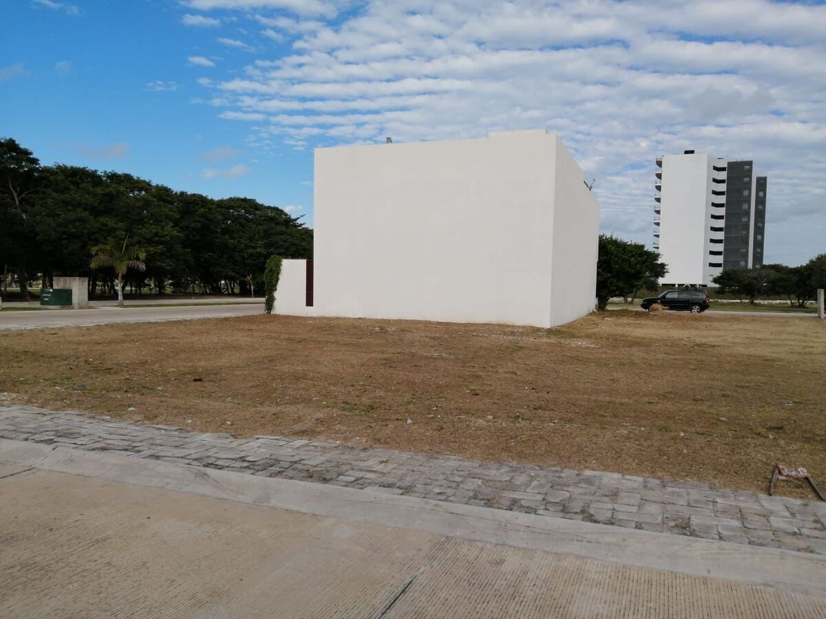 5 de 12