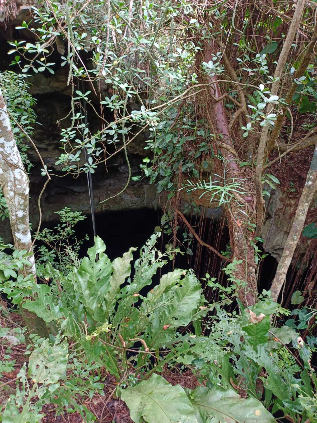 3 de 4