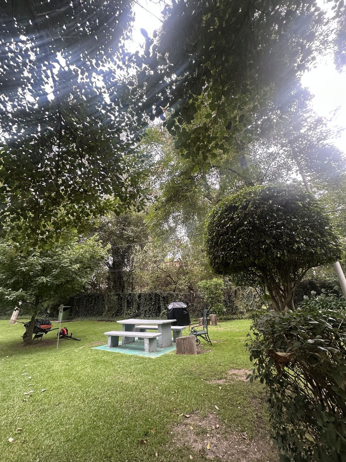 11 de 13