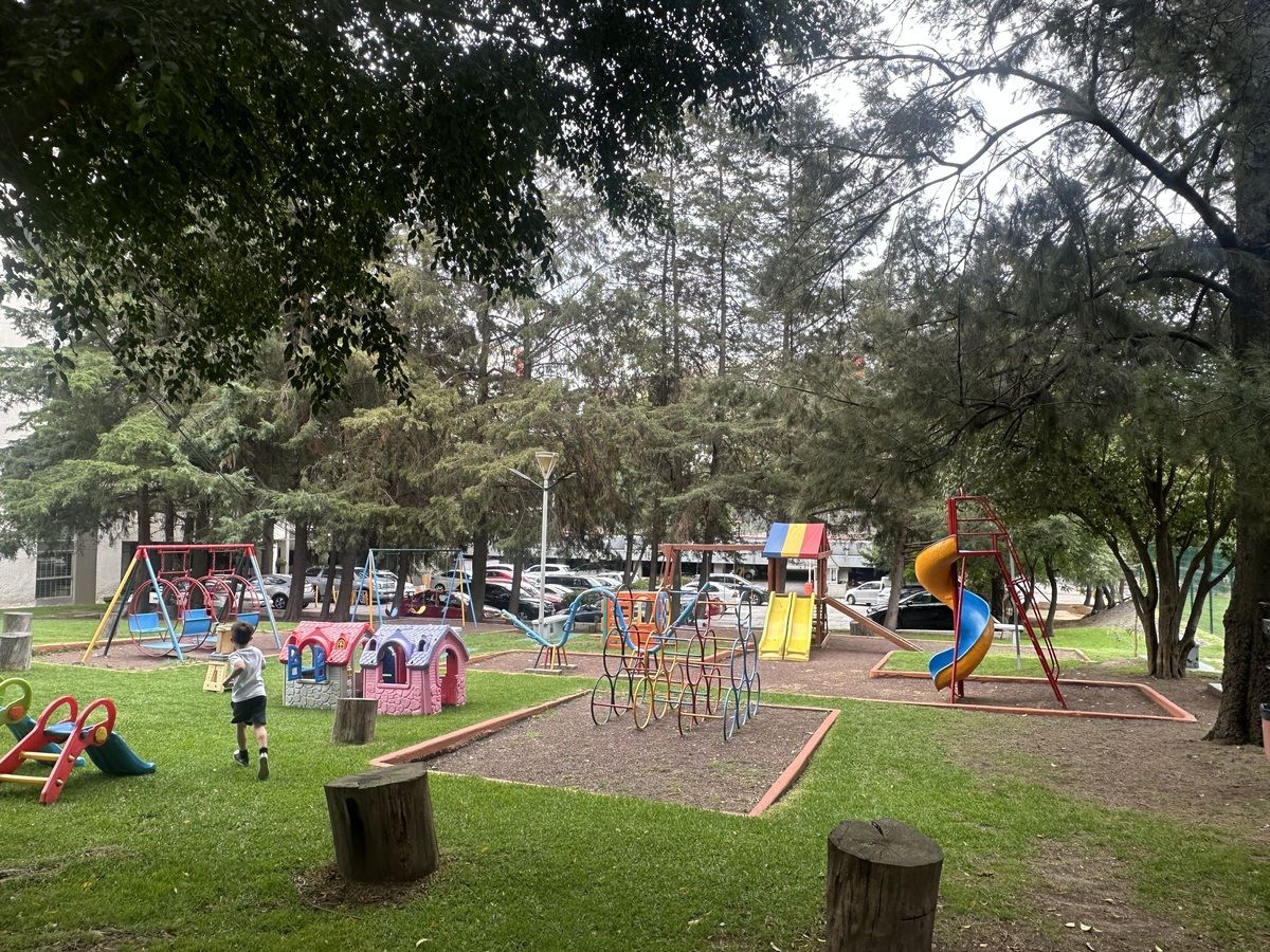 12 de 13