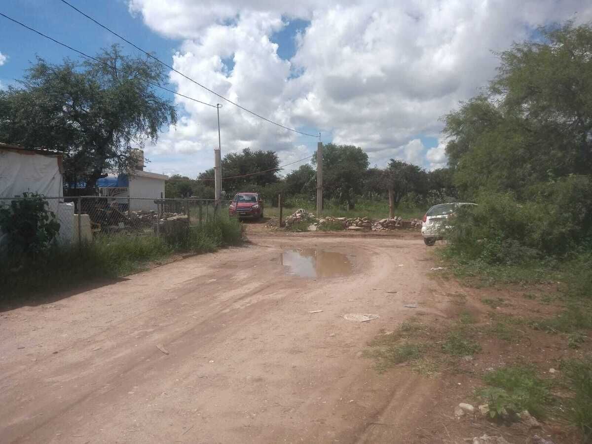 7 de 14