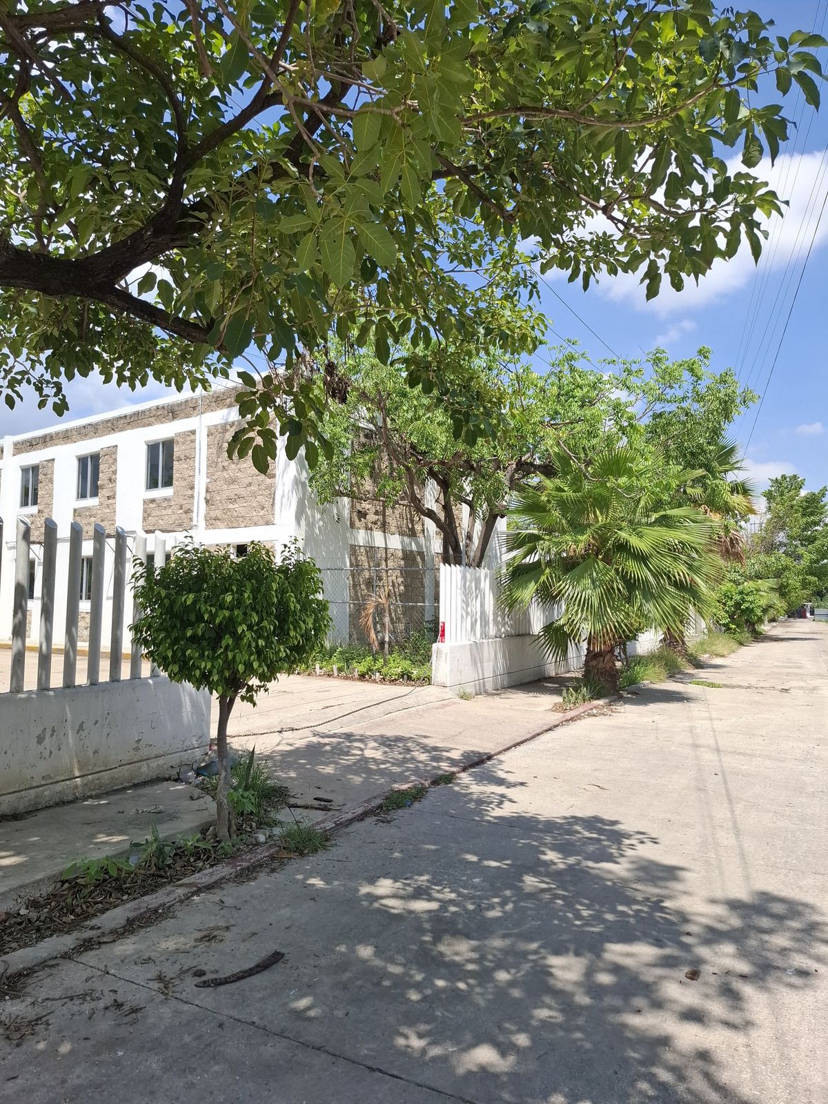 3 de 20