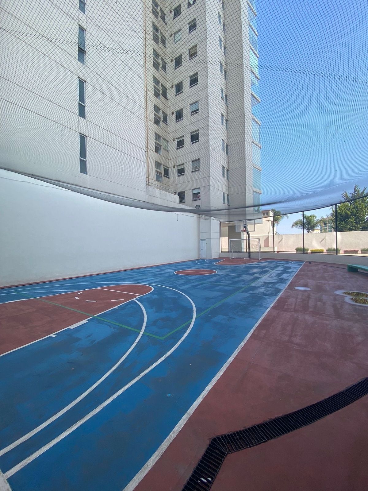 43 de 50