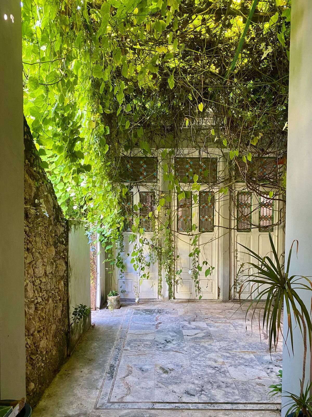 4 of 13: Terraza