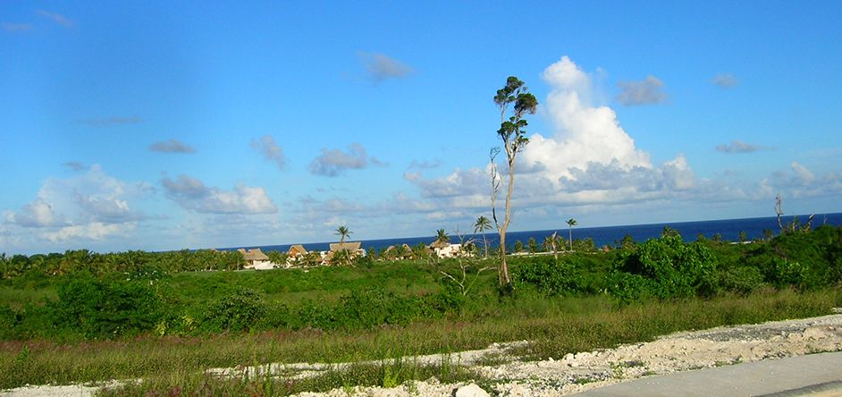2 de 4