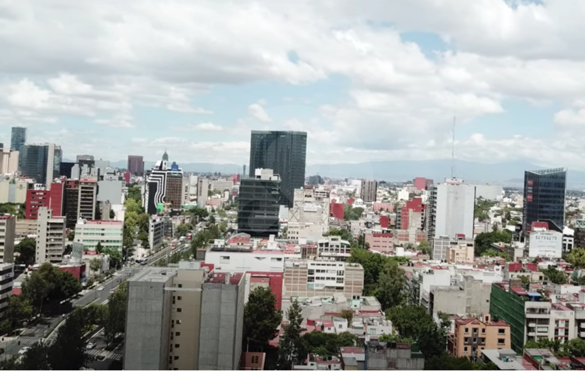 12 de 13