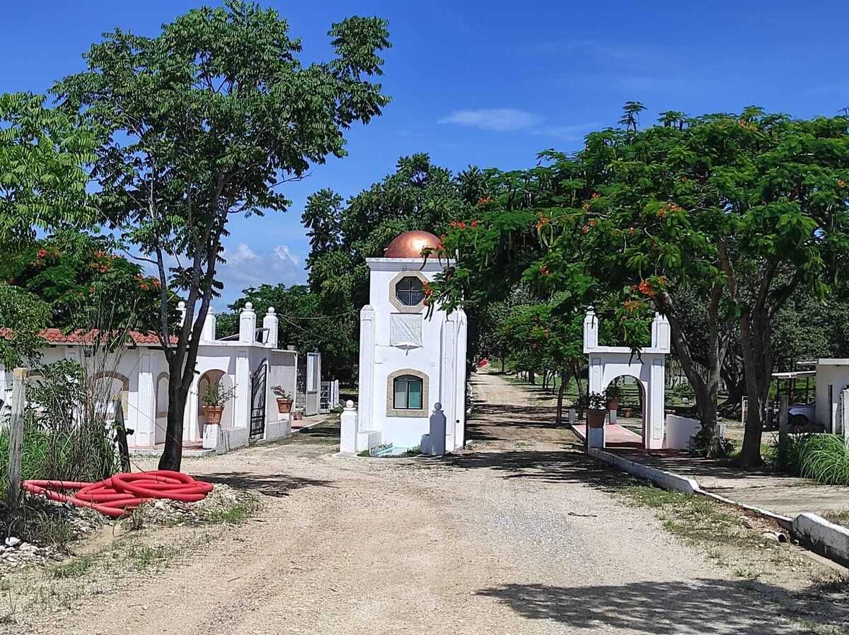 1 de 2