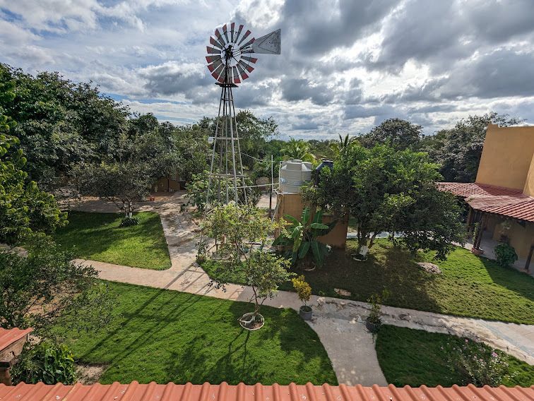 7 de 25
