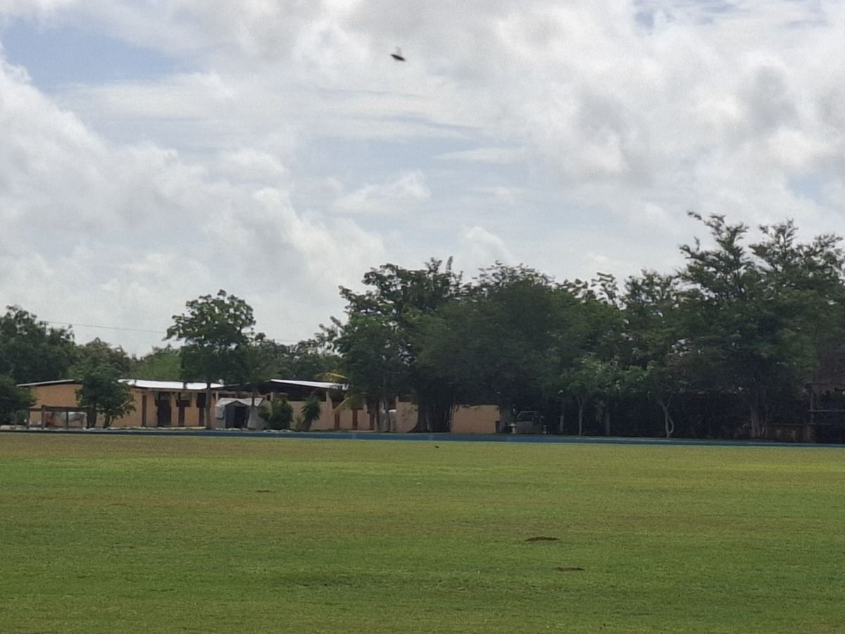 1 de 16