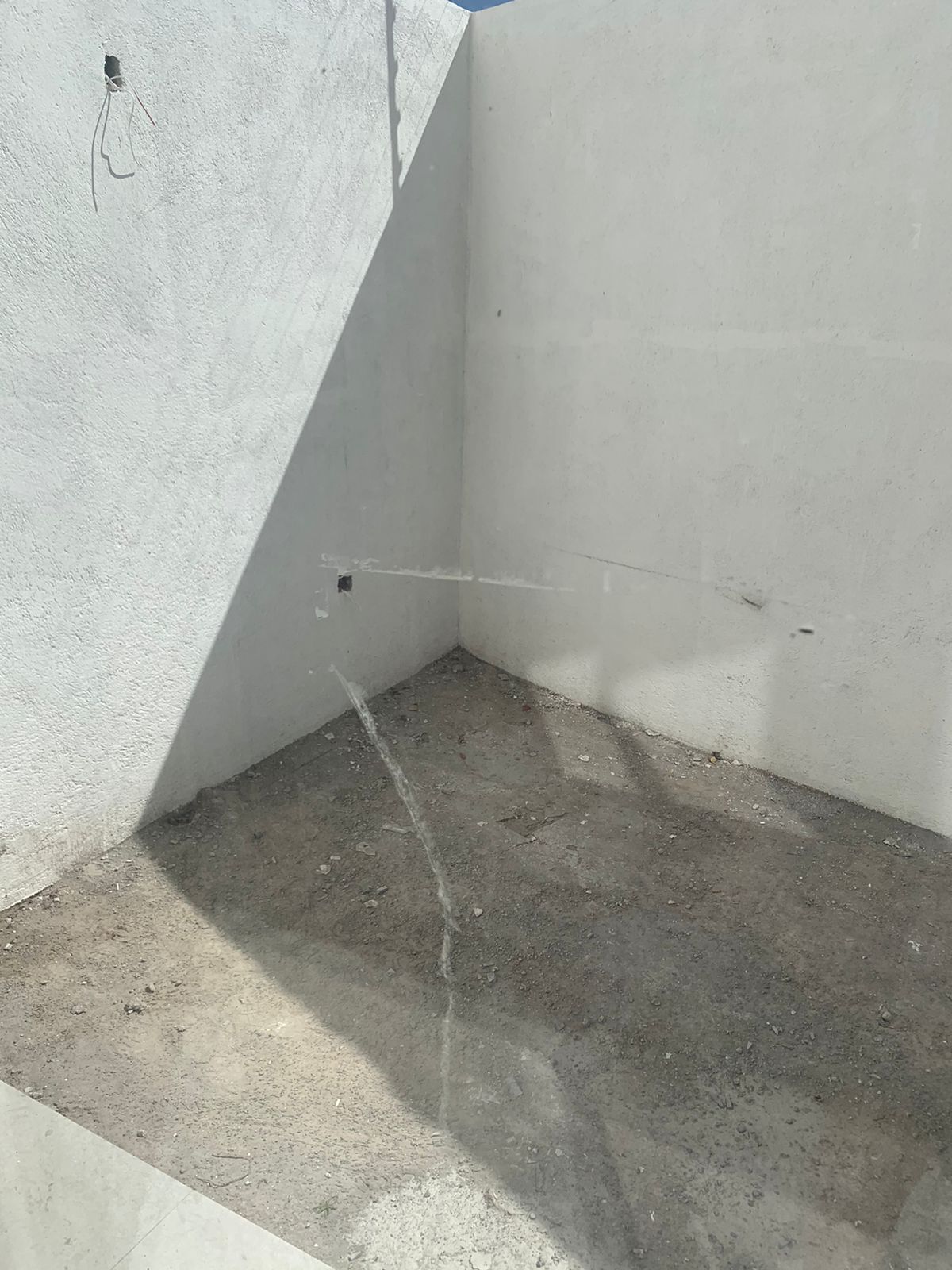 12 de 37