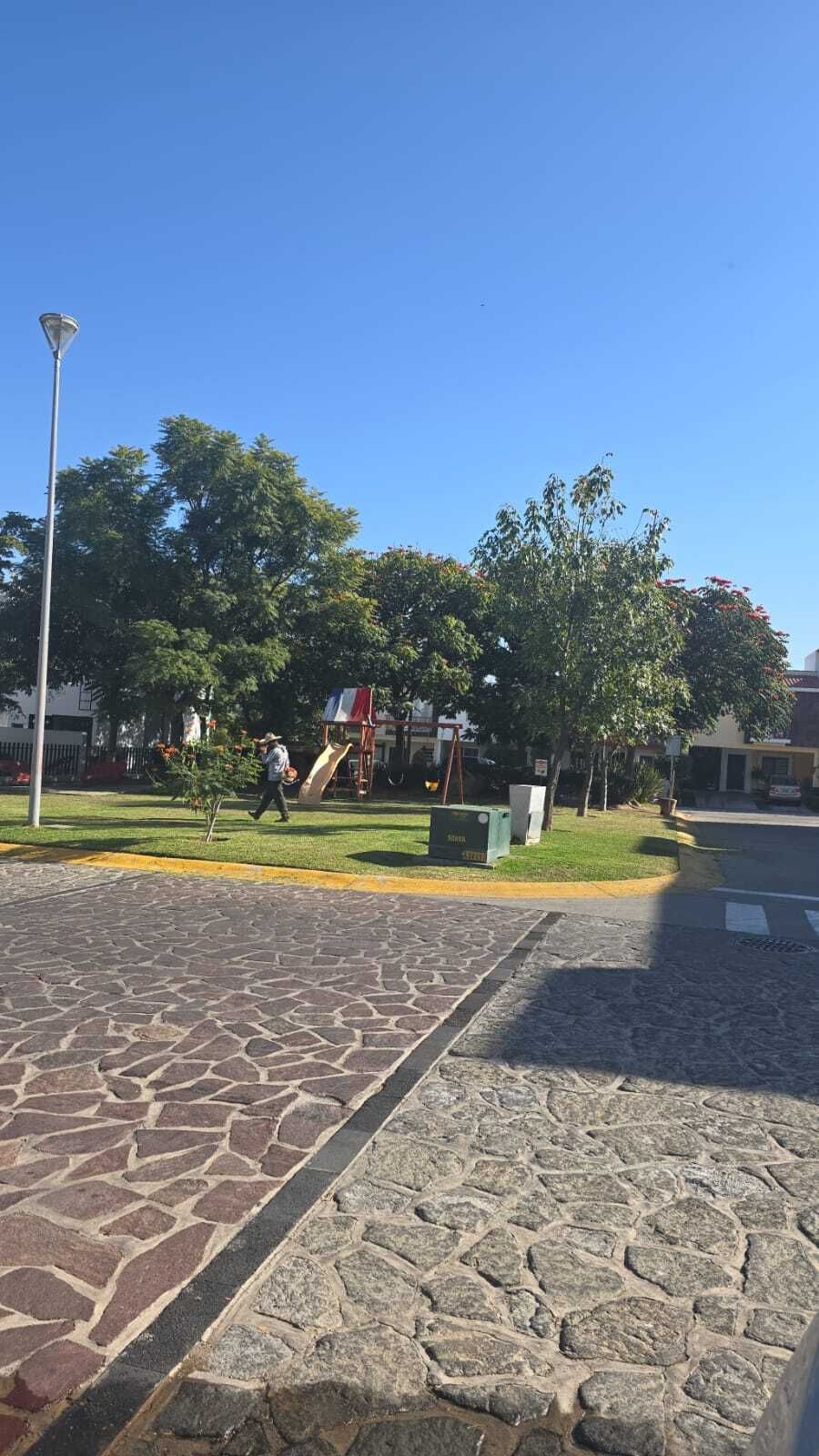 3 de 26